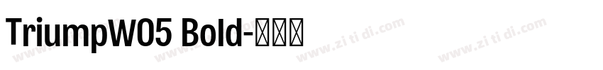 TriumpW05 Bold字体转换